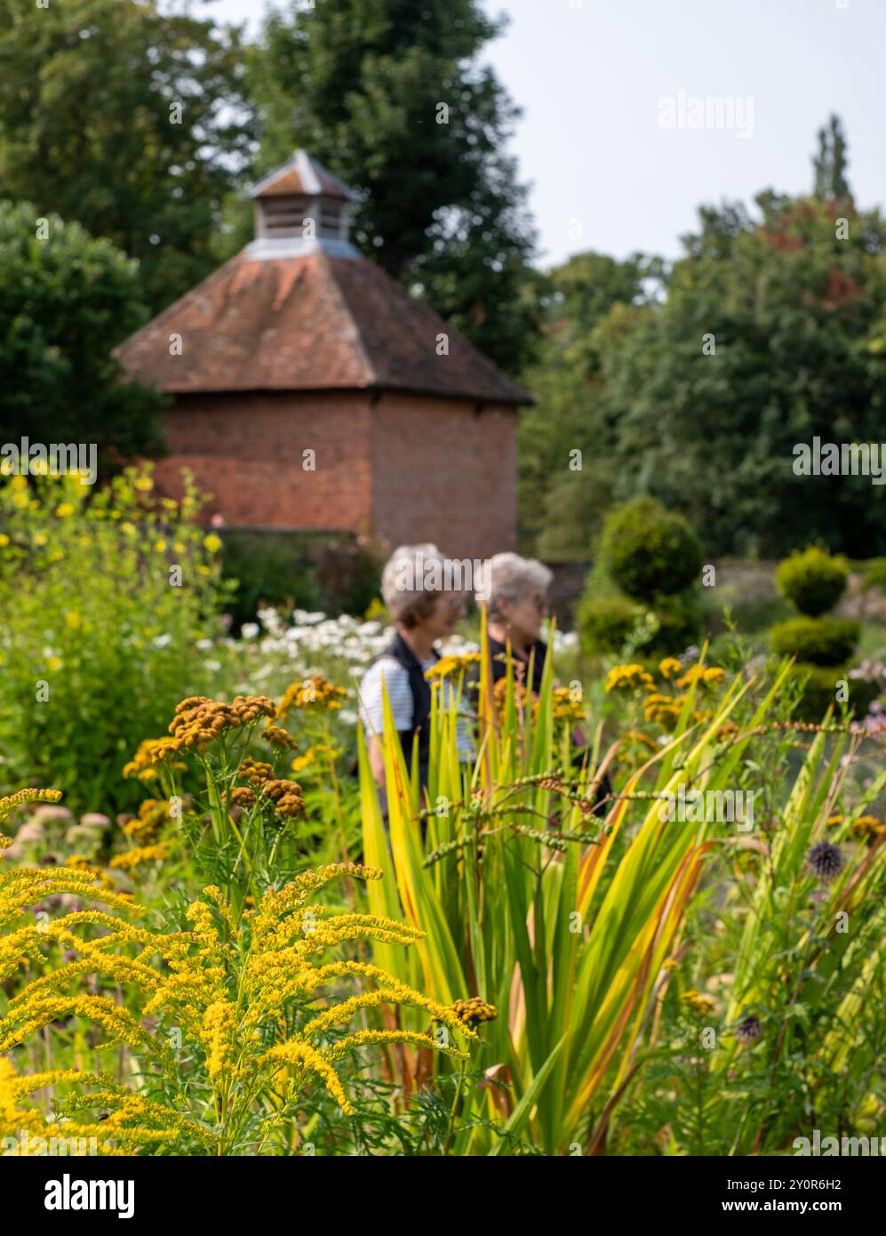 Deux femmes admirent les fleurs, y compris la verge d'or jaune vif, amicale des abeilles, poussant dans le jardin clos historique d'Eastcote House. Londres, Royaume-Uni. Banque D'Images