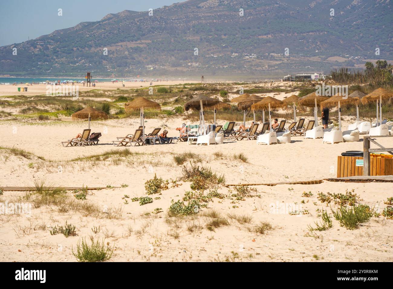 Tarifa, Chiringuito Beach Bar Restaurant par une journée ensoleillée d'été, Costa de la Luz, Andalousie, Espagne Banque D'Images