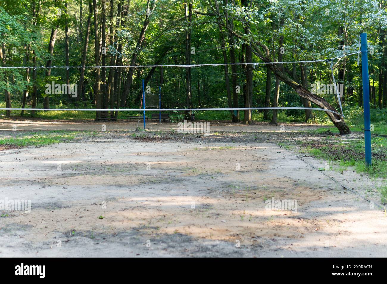 jouez au sport net championnat match match sur gazon compétition balle action terrain de volley-ball Banque D'Images