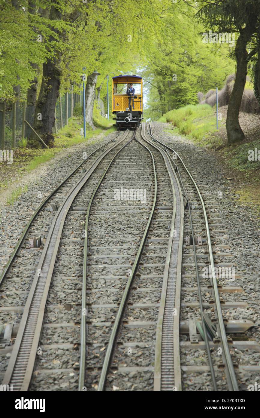 Neroberg chemin de fer avec rails et rack au point de passage, inclinaison, gradient, entraînement, corde, piste, montagne, chemin de fer de montagne, Neroberg, Wiesbaden, HES Banque D'Images
