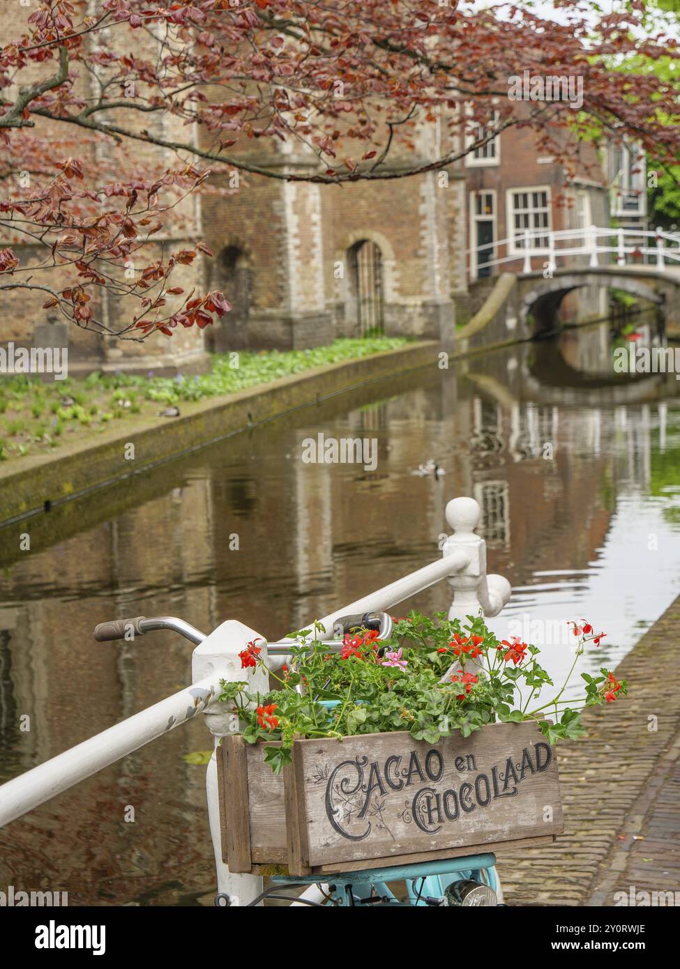 Un récipient à fleurs sur un vélo à côté d'un canal tranquille et un pont dans la lumière du printemps, delft, pays-bas Banque D'Images