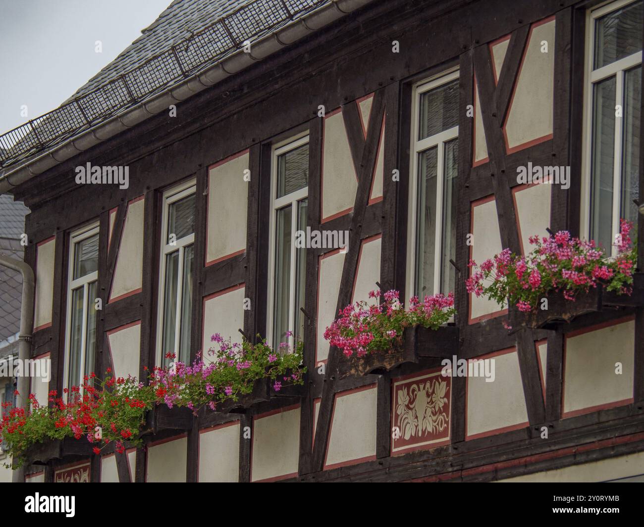 Maison à colombages avec de nombreux pots de fleurs devant les fenêtres, montrant une scène historique, bingen, rhin, allemagne Banque D'Images