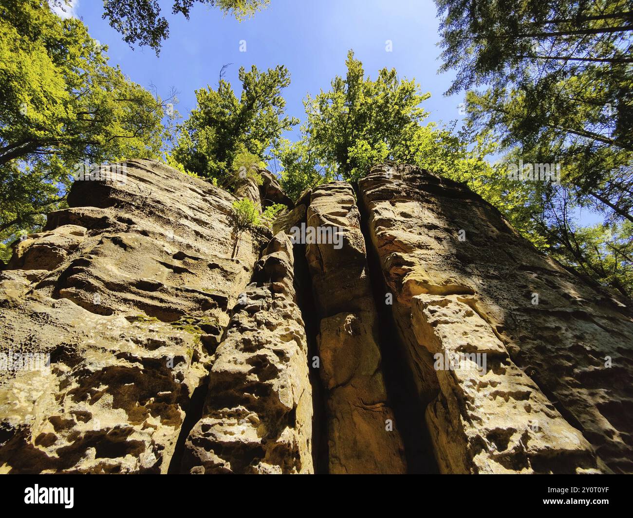 Vue le long du sentier de randonnée Teuflische Acht, plateau Ferschweiler, Naturpark Suedeifel, Irrel, Eifel, Rhénanie-Palatinat, Allemagne, Europe Banque D'Images