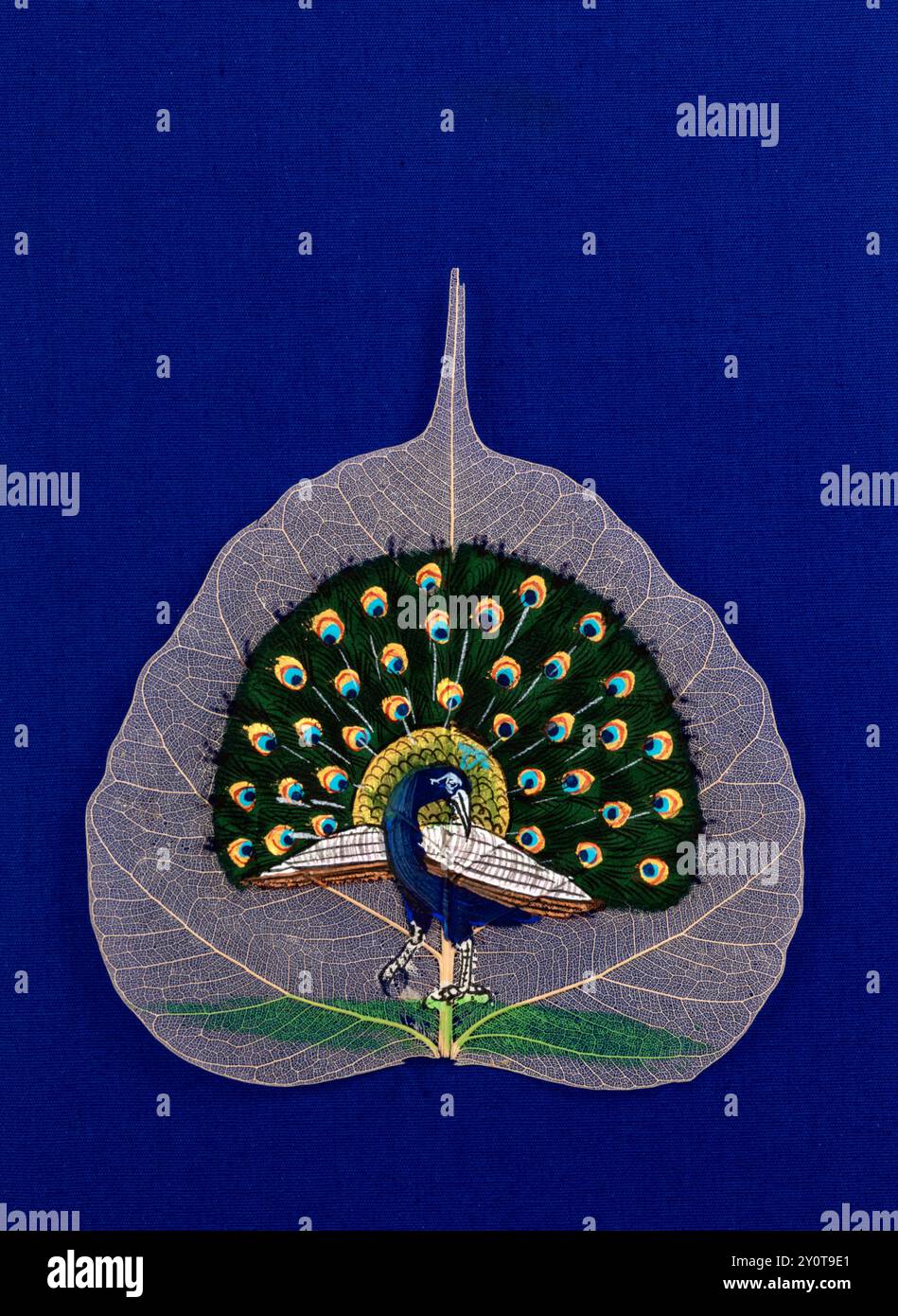 Une œuvre d'art détaillée avec un paon conçu sur une feuille de squelette délicate avec un fond bleu vif, idéal pour les escrocs décoratifs et sur le thème de la nature Banque D'Images