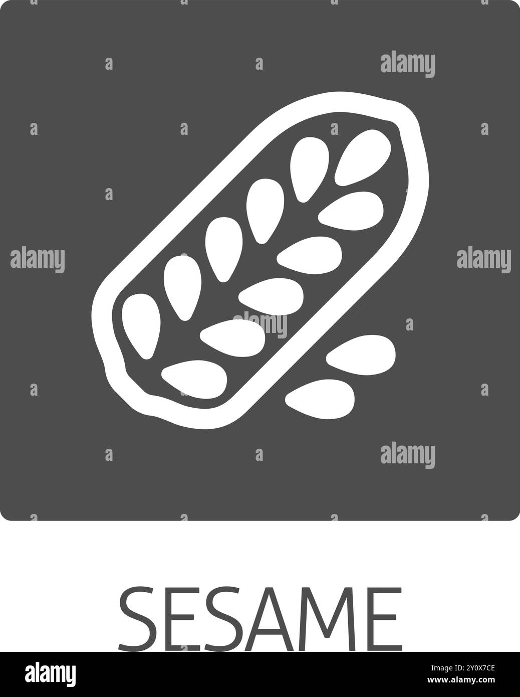 Concept d'icône d'allergène alimentaire de capsule de graines de sésame Illustration de Vecteur