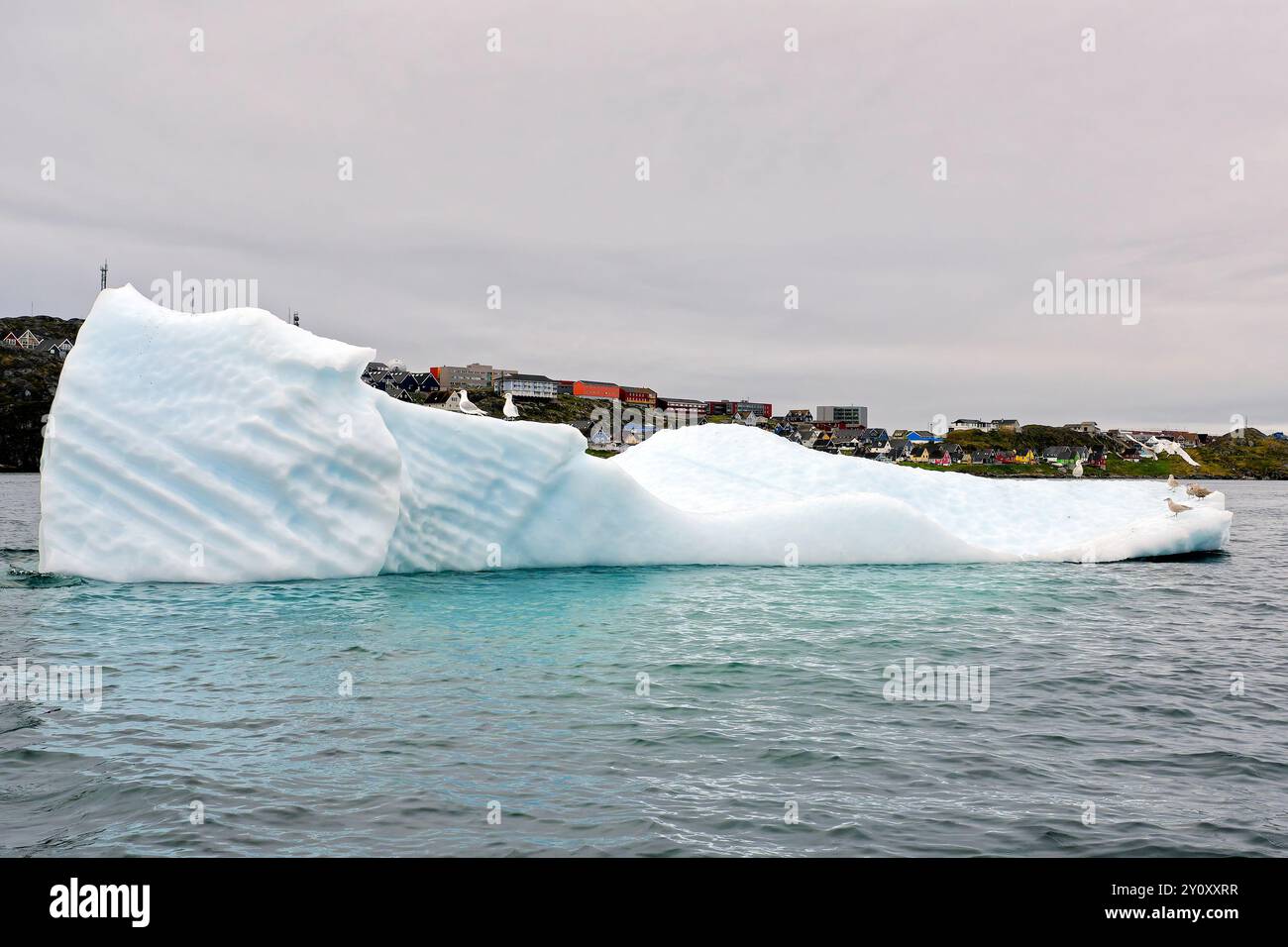 Mouettes perchées sur un petit iceberg à l'extérieur de la vieille ville de Nuuk, Nuuk, Groenland Banque D'Images