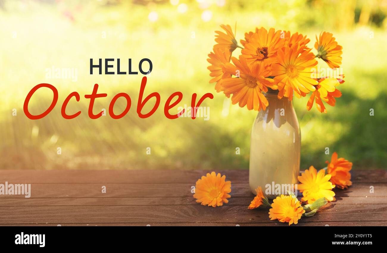 Bonjour octobre. Paysage de campagne avec des fleurs de calendula en lumière du soleil. Fond de saison d'automne Banque D'Images