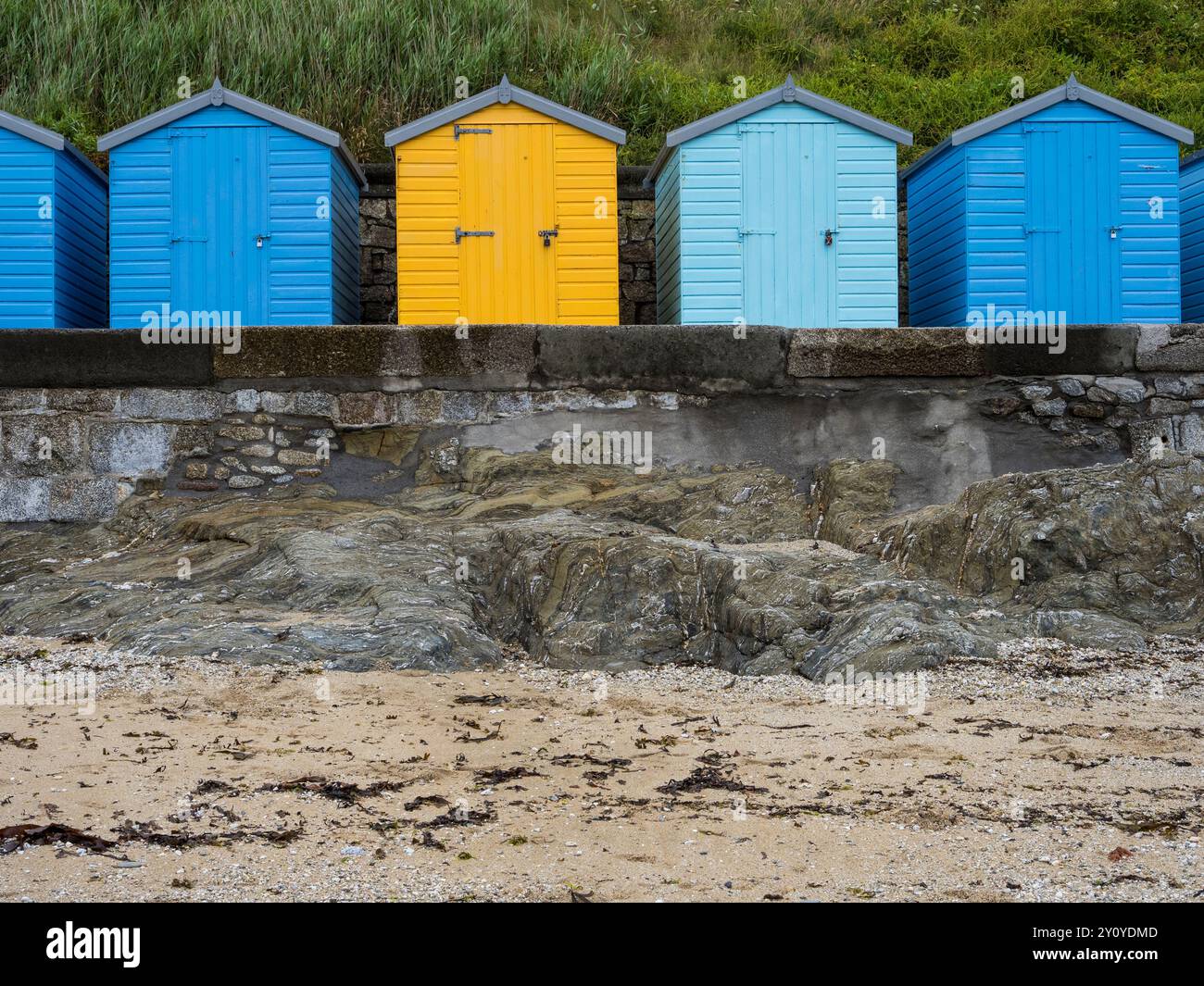 Blue and Yellow Beach Huts, Castle Beach, Falmouth, Cornouailles, Angleterre, UK, GB. Banque D'Images