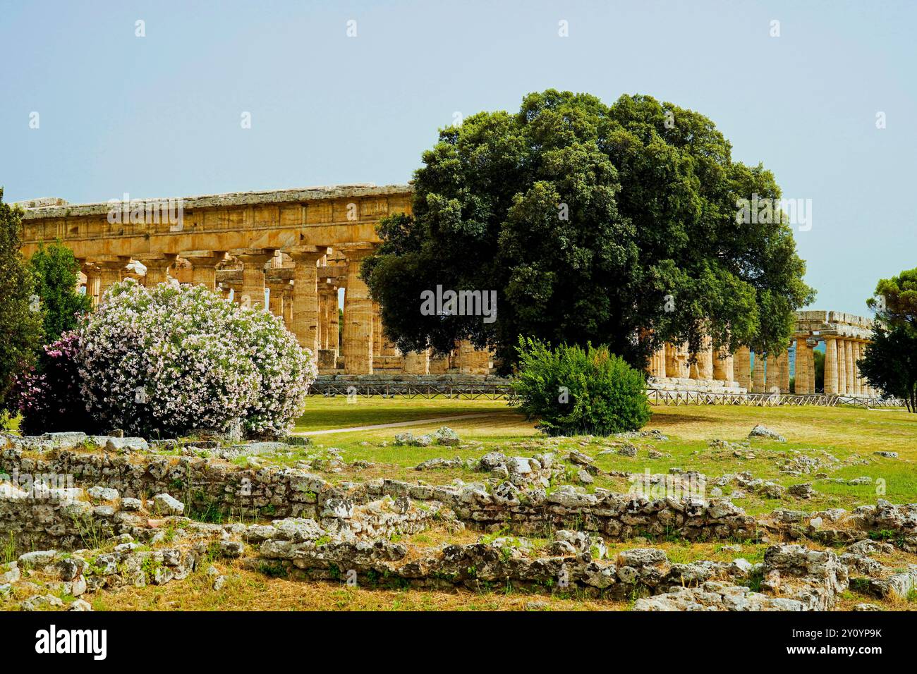 Images et photographies en couleur la magnificence des temples et des fouilles archéologiques de l'ancienne ville grecque de Paestum, Italie, Campanie, vente Banque D'Images