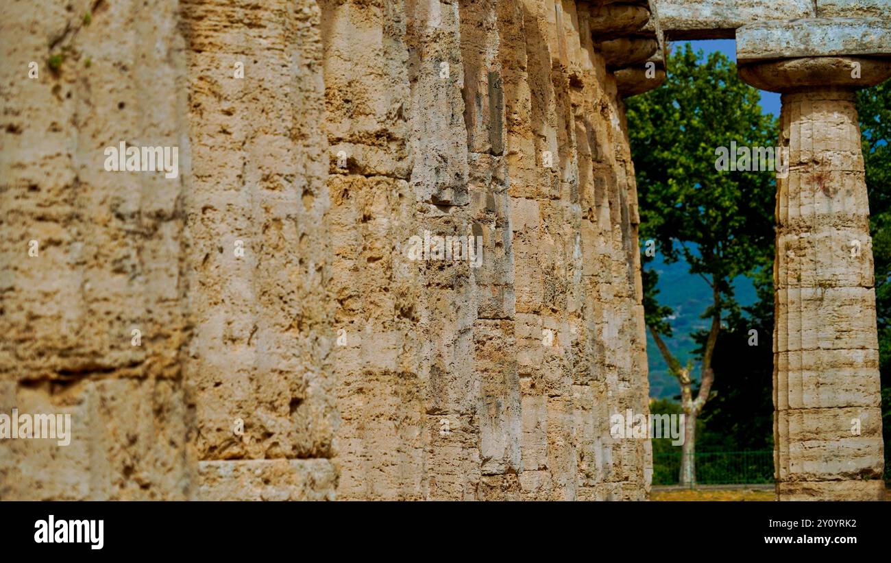 Images et photographies en couleur la magnificence des temples et des fouilles archéologiques de l'ancienne ville grecque de Paestum, Italie, Campanie, vente Banque D'Images