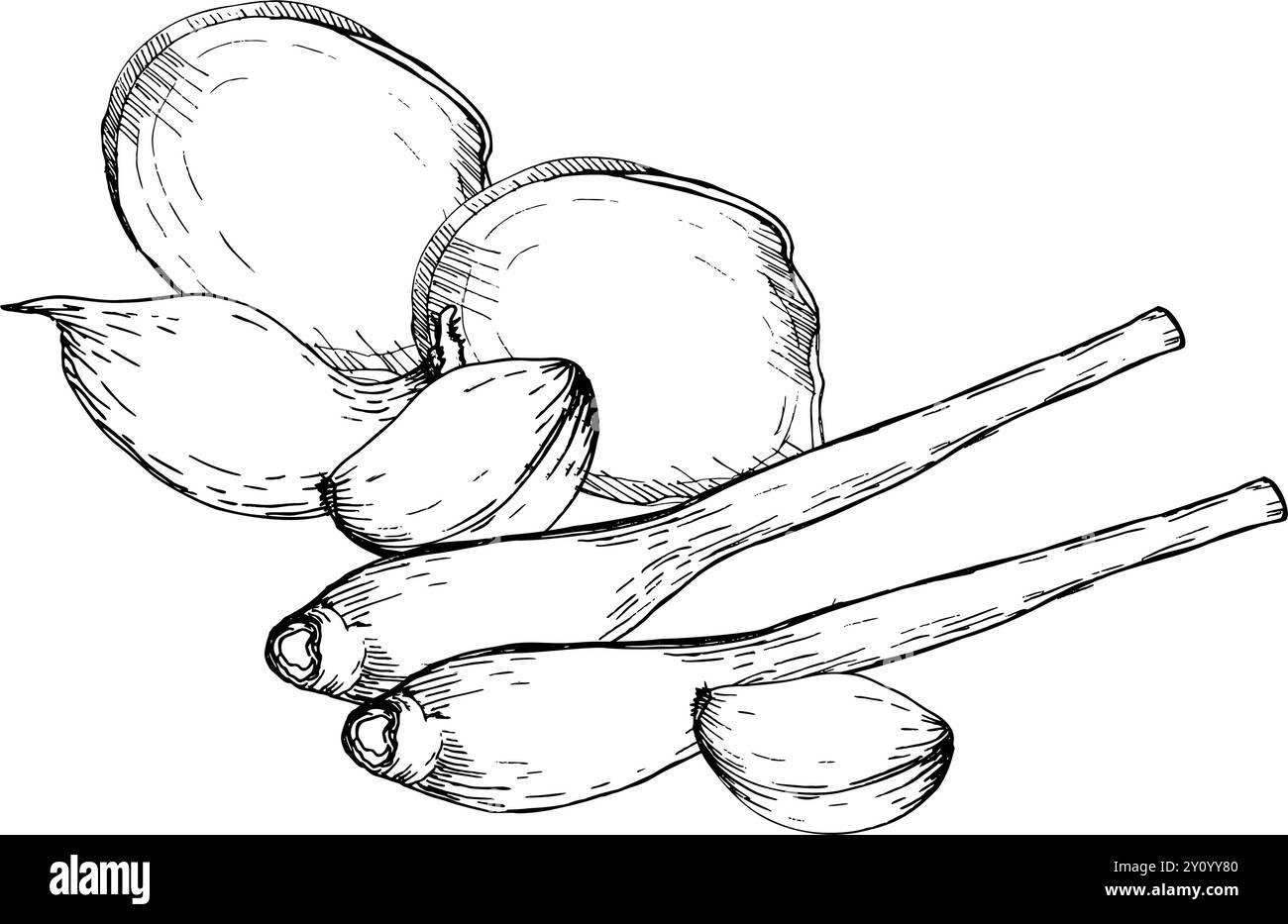 Composition graphique des tranches de gingembre d'encre, de l'ail et des branches de citronnelle. Art au trait dessiné à la main, peinture noire doodle de nourriture pour l'emballage de produit, cuisine, Illustration de Vecteur