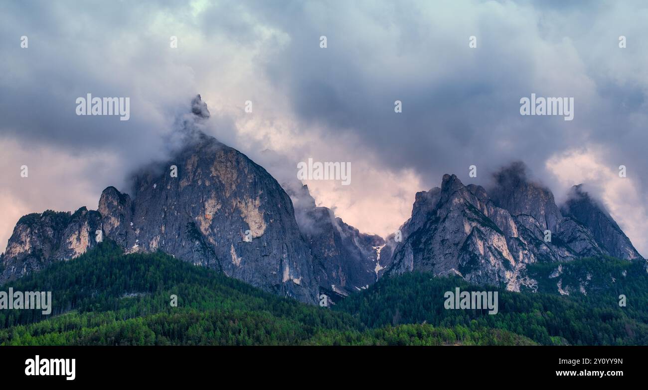 Vue panoramique du mont Sciliar sur la Seiser Alm dans les Dolomites au Tyrol du Sud, Italie. Banque D'Images