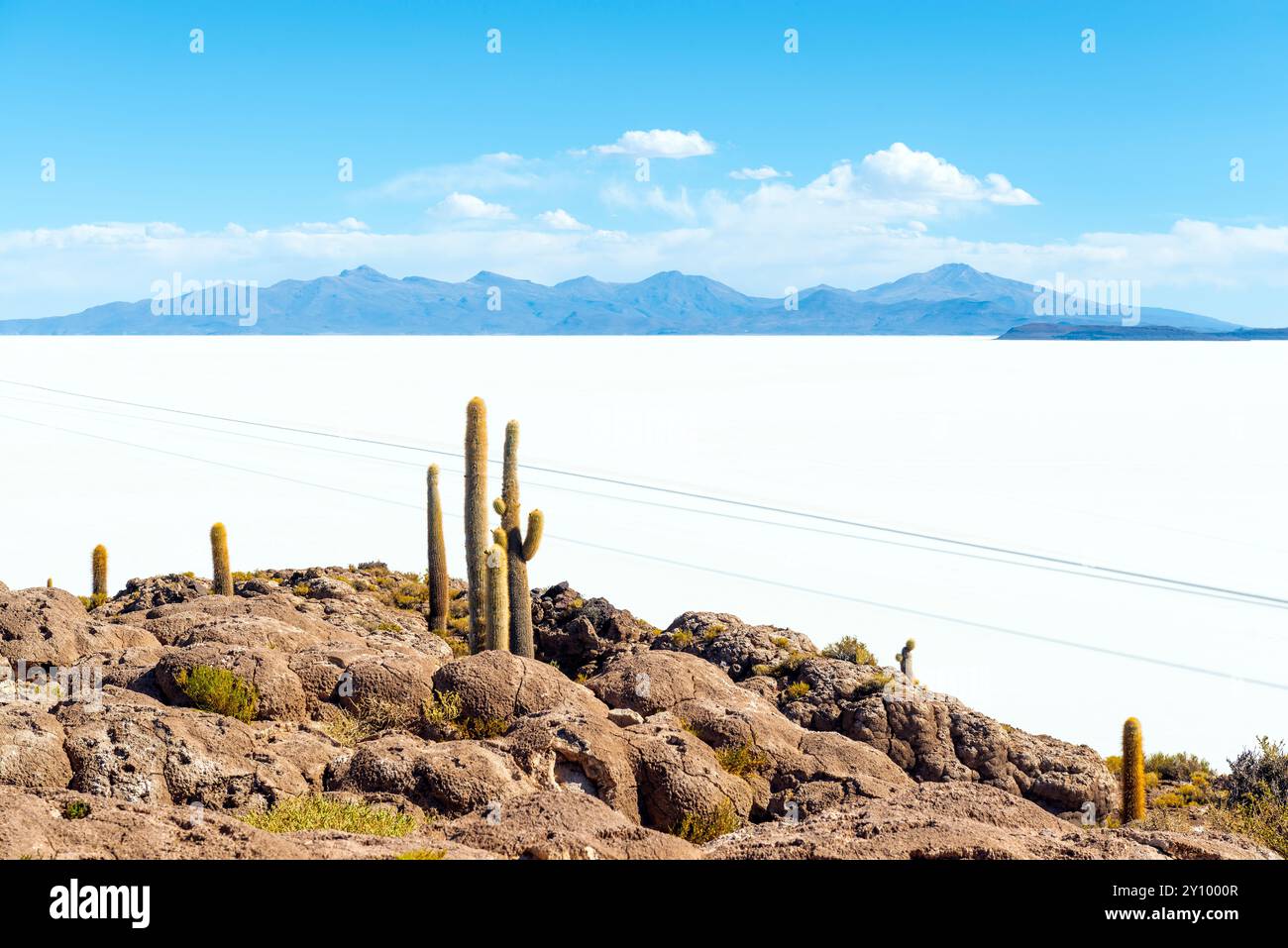 Île d'Incahuasi avec cactus géant d'Atacama et pistes de roues de véhicules, désert de sel d'Uyuni, Uyuni, Bolivie. Banque D'Images