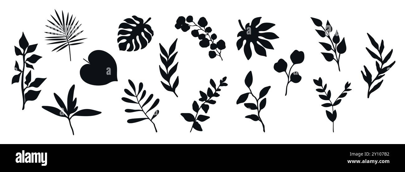 Collection de silhouettes végétales. Branches, feuilles et éléments botaniques isolés sur fond blanc. Illustration vectorielle Illustration de Vecteur