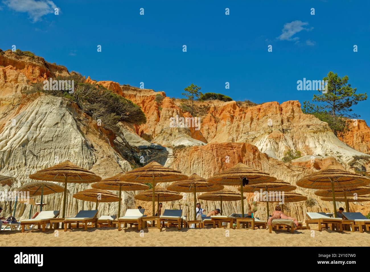 Dunes et plage au village de Falésia do Mar, Algarve occidentale, Portugal. Banque D'Images