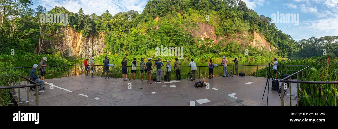 Vue panoramique d'un grand groupe de photographes attendant dans une carrière attendant de prendre la photo de la faune d'oiseau migrateur. Singapour. Banque D'Images