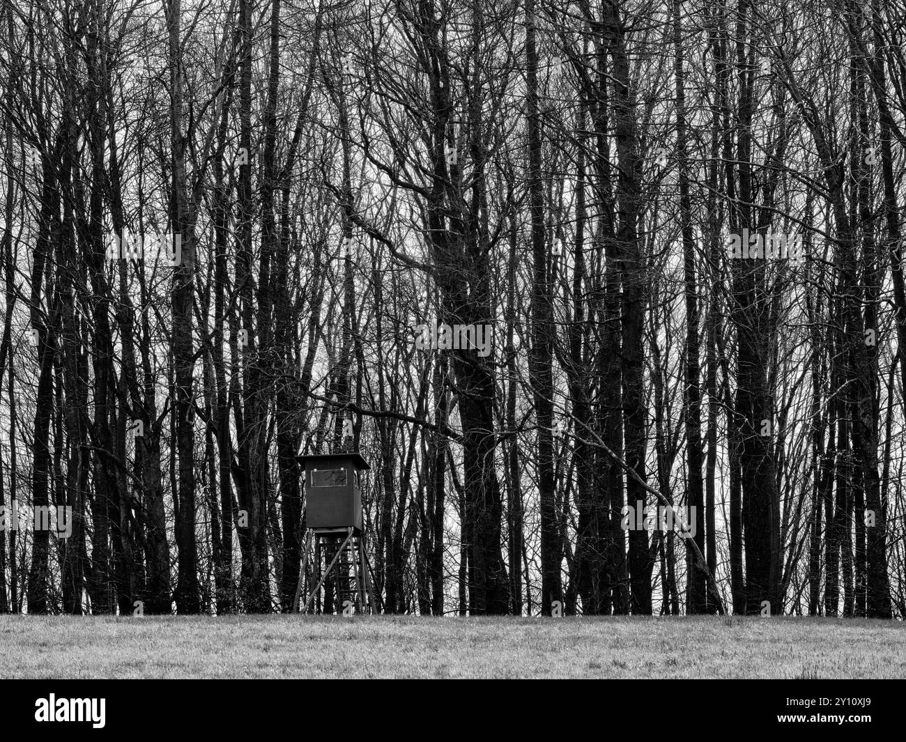 Journée de printemps dans le parc naturel d'Augsburg - forêts de l'Ouest près de Siebnach Banque D'Images