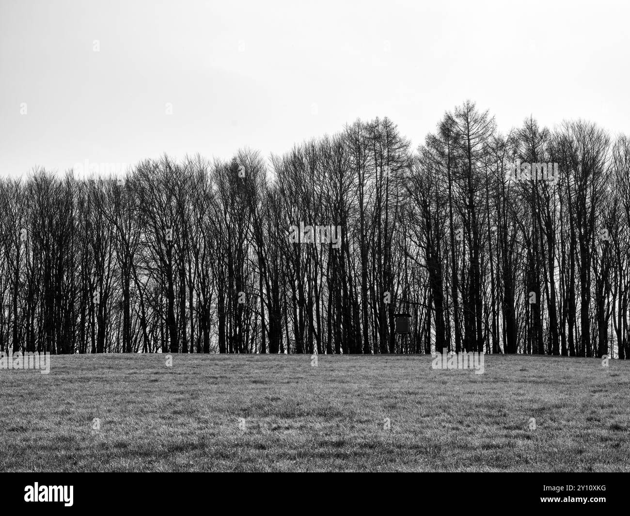 Journée de printemps dans le parc naturel d'Augsburg - forêts de l'Ouest près de Siebnach Banque D'Images