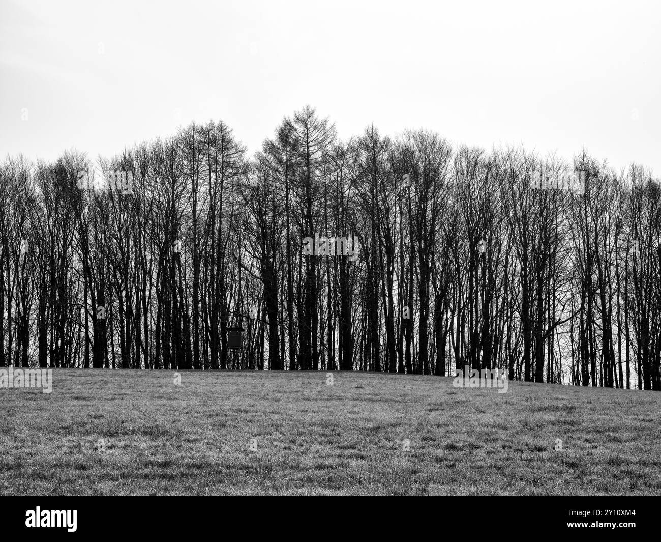 Journée de printemps dans le parc naturel d'Augsburg - forêts de l'Ouest près de Siebnach Banque D'Images
