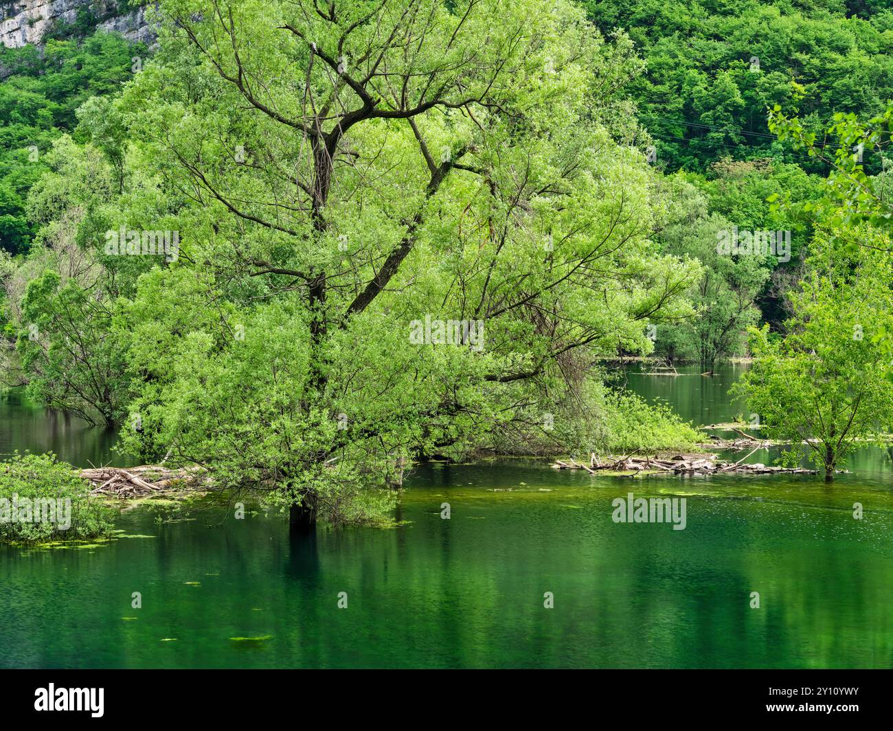 Au Lago di Loppio près de Mori Banque D'Images