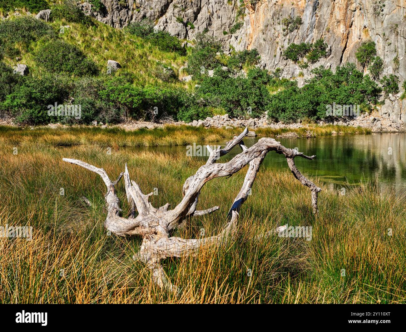 Sa Calobra dans la Serra de Tramuntana sur la côte ouest de Majorque Banque D'Images