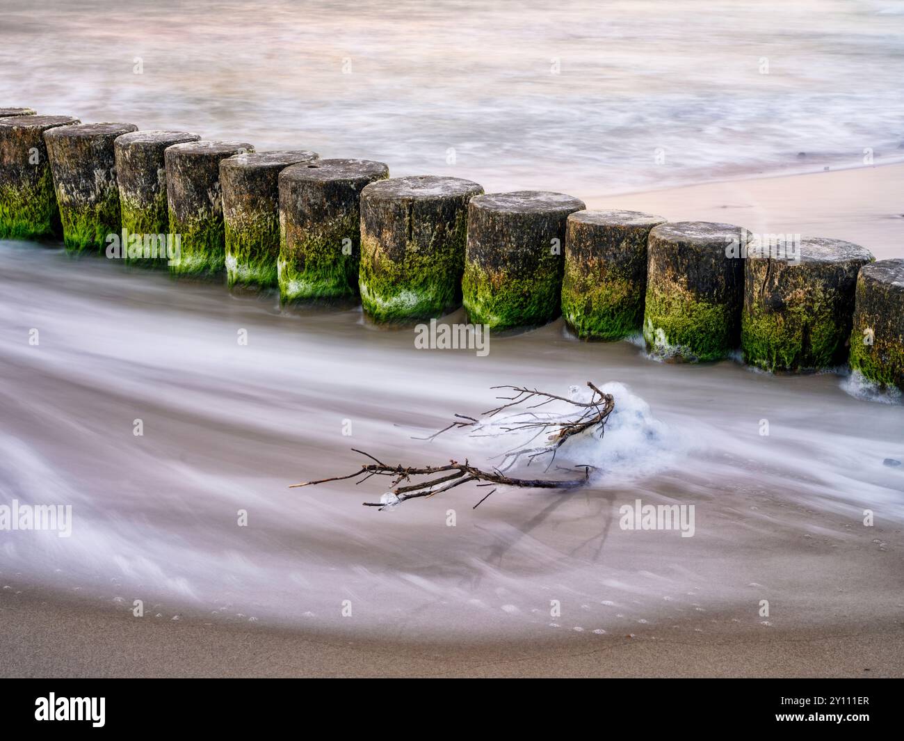 Paysage côtier entre Wustrow et Ahrenshoop, groynes dans le sable Banque D'Images