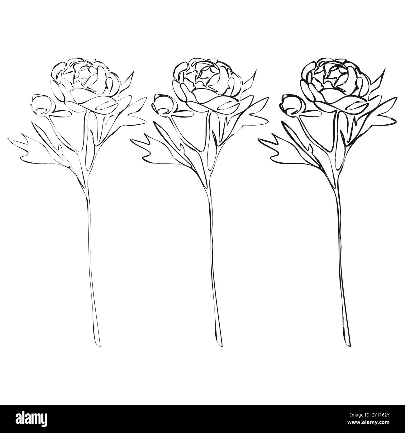 Jeu de dessin de pivoine en ligne continue. Bouquets floraux noir et blanc. Page de coloration de fleurs. Ligne florale Illustration des lis fins. Dessiner à la main Illustration de Vecteur