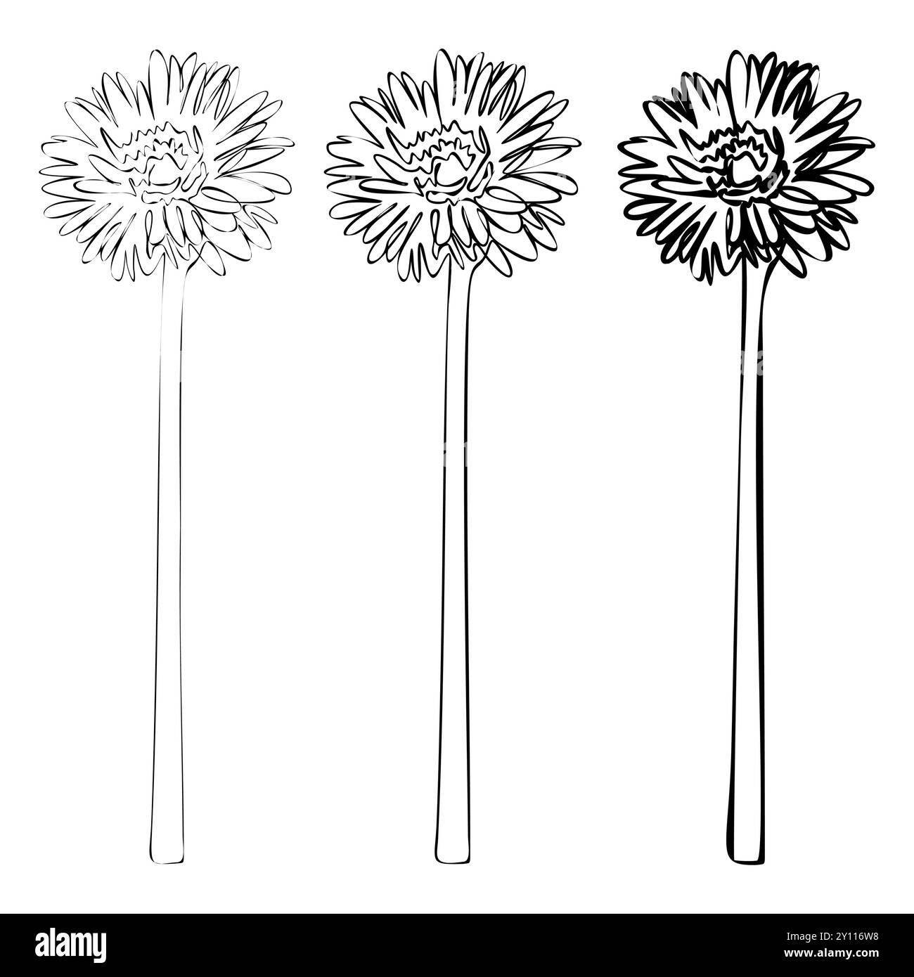 Ensemble de dessin au trait continu. Bouquets floraux noir et blanc. Page de coloration de fleurs. Ligne florale Illustration des lis fins. Flux dessiné à la main Illustration de Vecteur