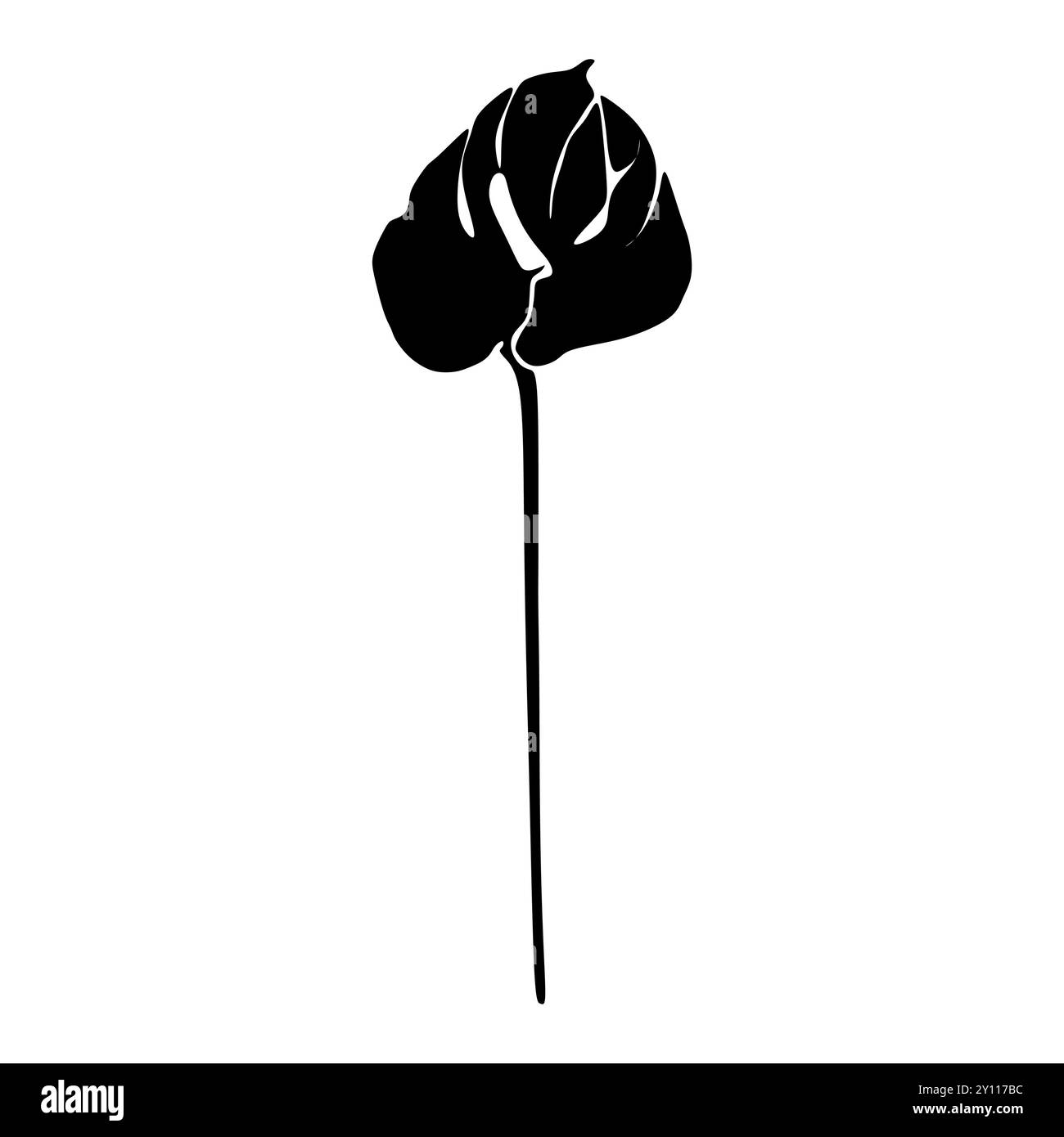 Anthurium silhouette noire et blanche. Silhouette florale. Fleurs dessinées à la main. Silhouette Botanical Black isolée sur fond blanc Illustration de Vecteur