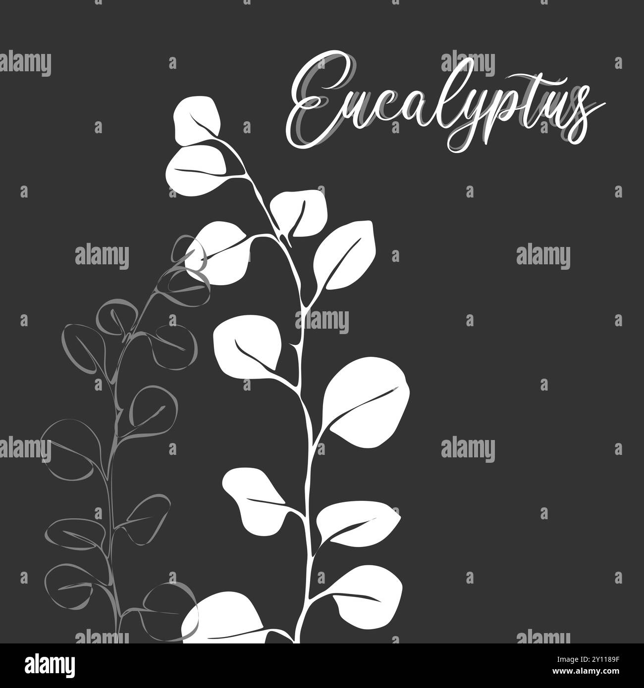 Eucalypthus pour logo, décorations, carte. invitation. Ligne blanche dessinée à la main et silhouette. Décoration de mariage de ligne dessinée à la main, feuilles élégantes pour invi Illustration de Vecteur