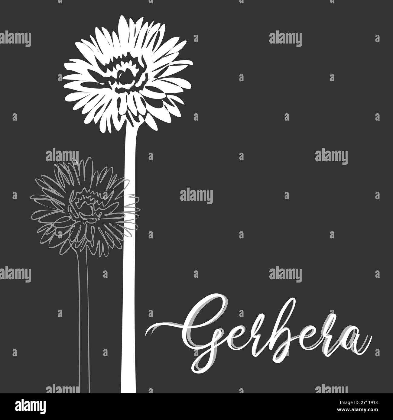 Gerbera pour logo, décorations, carte. invitation. Ligne blanche dessinée à la main et silhouette. Décoration de mariage de ligne dessinée à la main, feuilles élégantes pour invitati Illustration de Vecteur