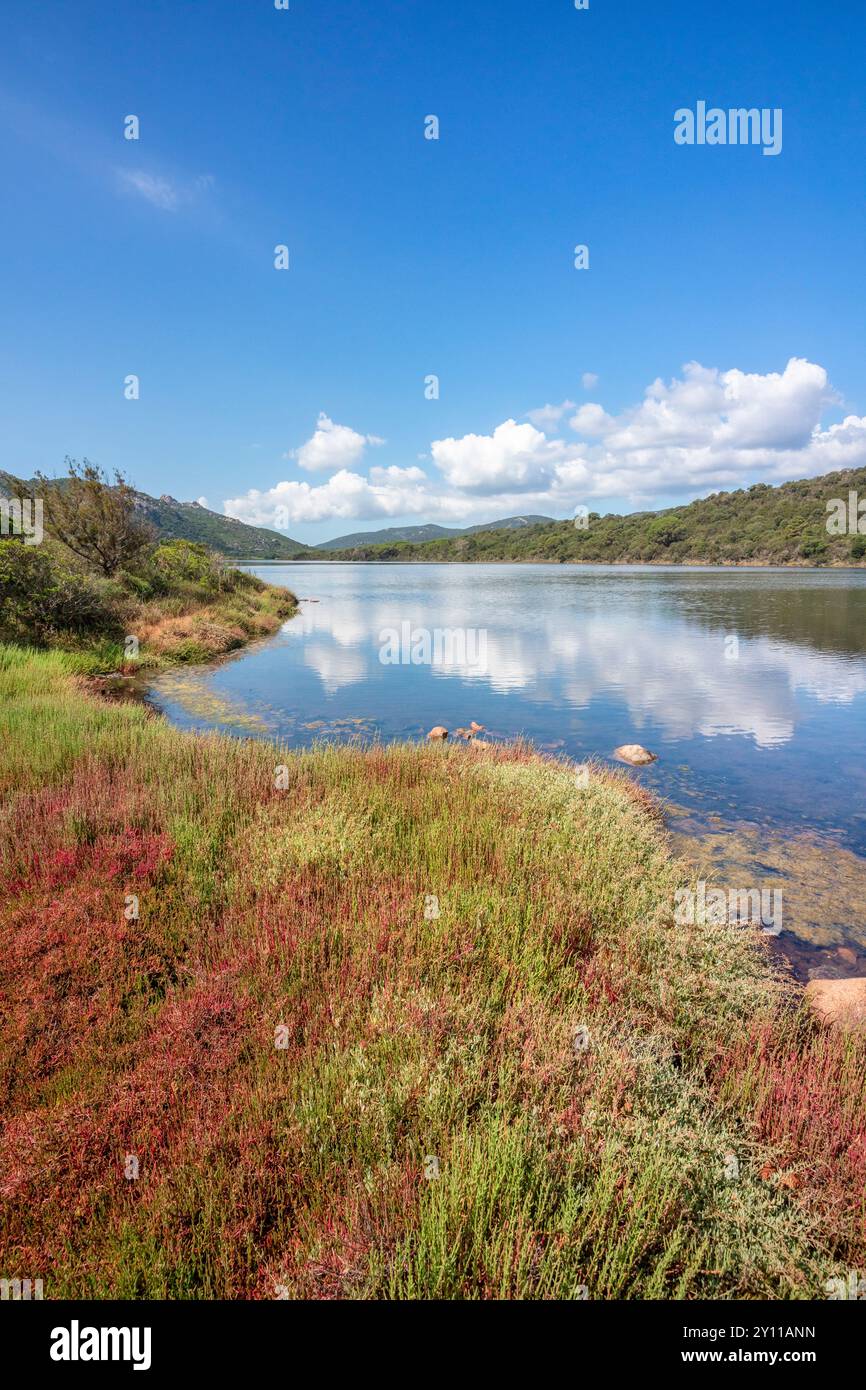 L'étang de Santa Giulia, un lagon côtier près de la plage, zone naturelle d'intérêt écologique, faunique et floristique. Porto Vecchio, Corse du Sud, Corse, France Banque D'Images