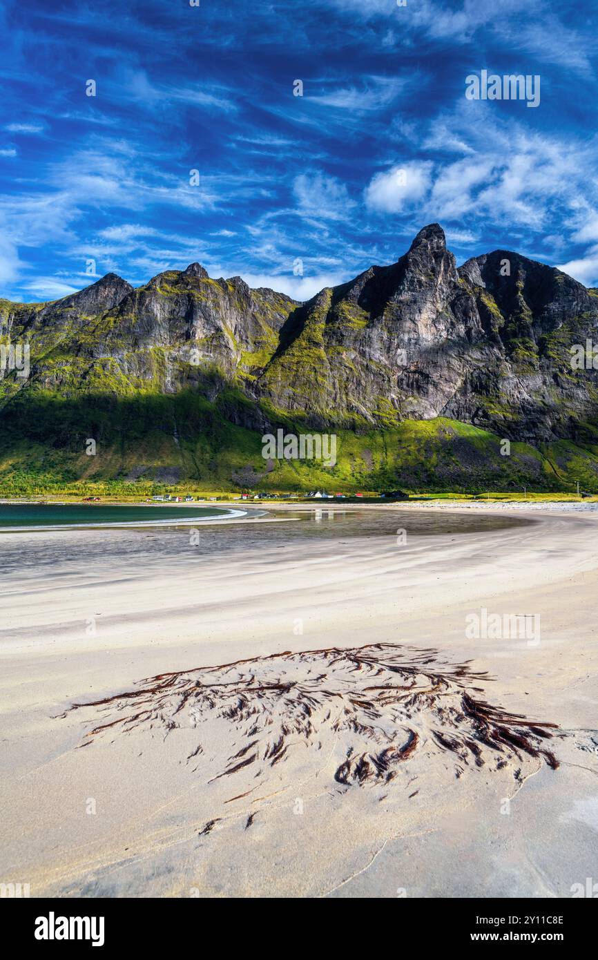 Été, plage, plage de sable, montagnes, baie, fjord, Ersfjord, Senja, Skaland, Norvège, Europe Banque D'Images