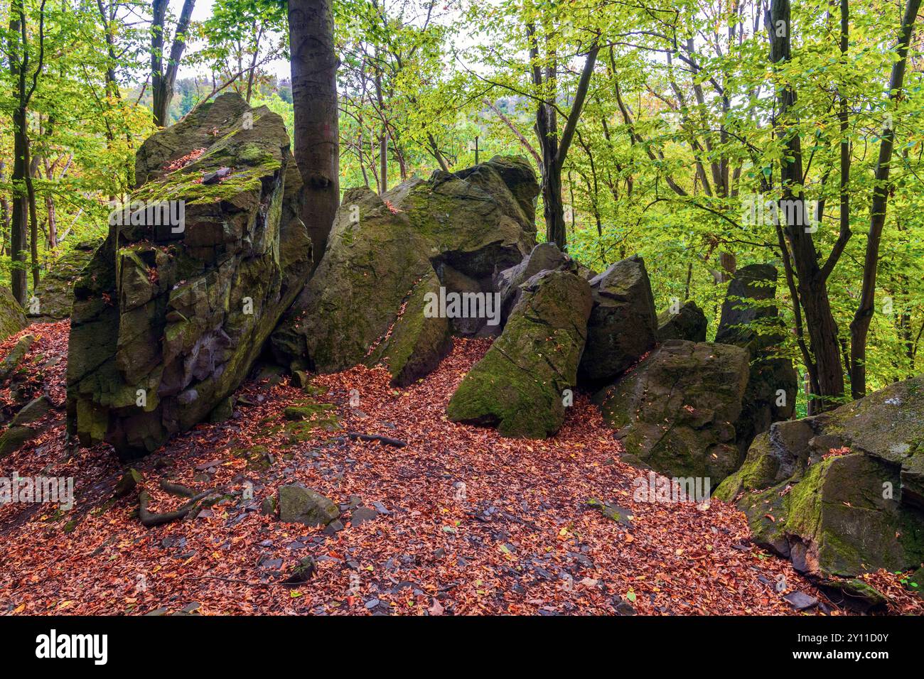 Épée, rocher, forêt, légende, Rammeburg, Harz du Sud, Harz, Saxe-Anhalt, Allemagne, Europe Banque D'Images