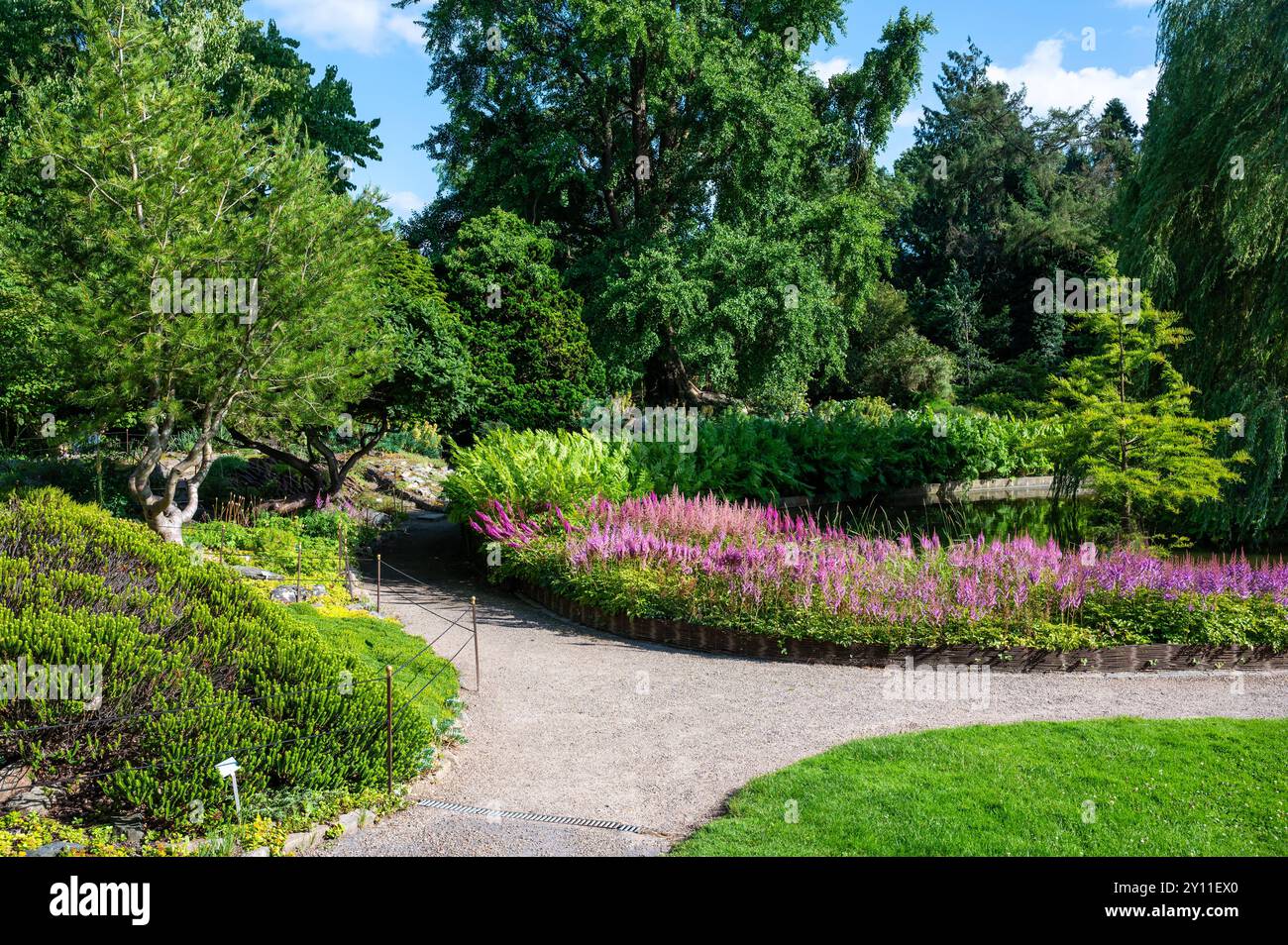 Fleurs colorées dans les jardins horticoles de l'Université de Copenhague, Danemark Banque D'Images