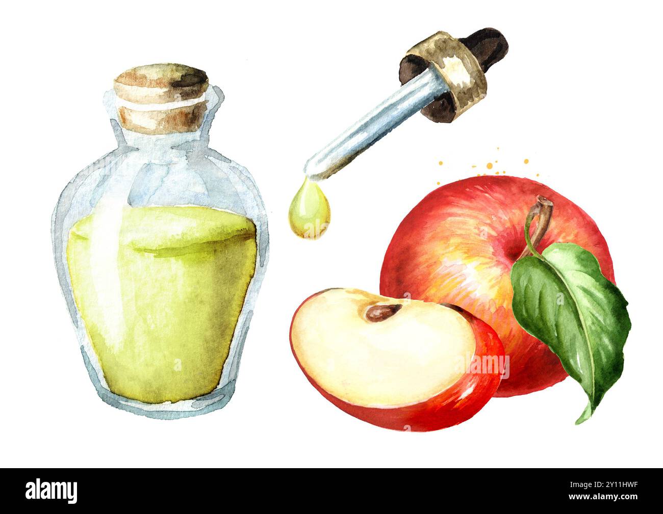Ensemble d'huiles essentielles de pomme. Illustration d'aquarelle dessinée à la main, isolée sur fond blanc Banque D'Images
