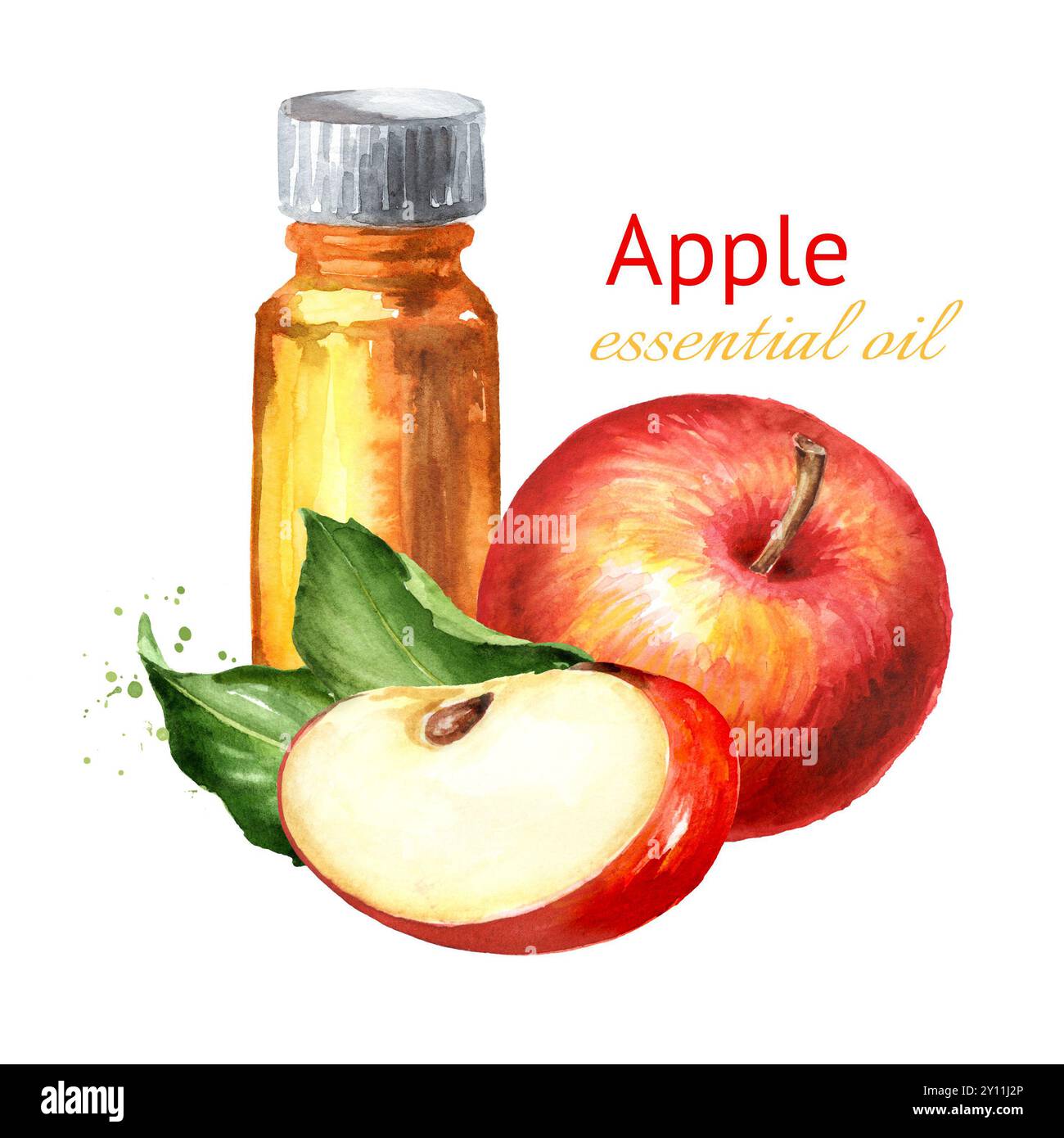 Huile essentielle de pomme. Illustration d'aquarelle dessinée à la main isolée sur fond blanc Banque D'Images