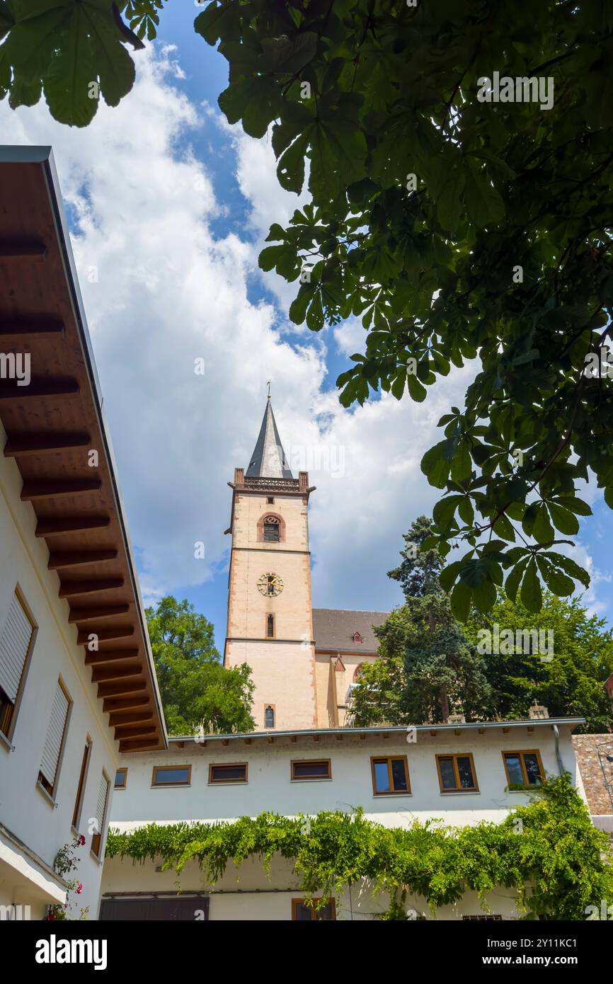Allemagne, Hesse, Rheingau, Rhin, Lorch am Rhein Banque D'Images