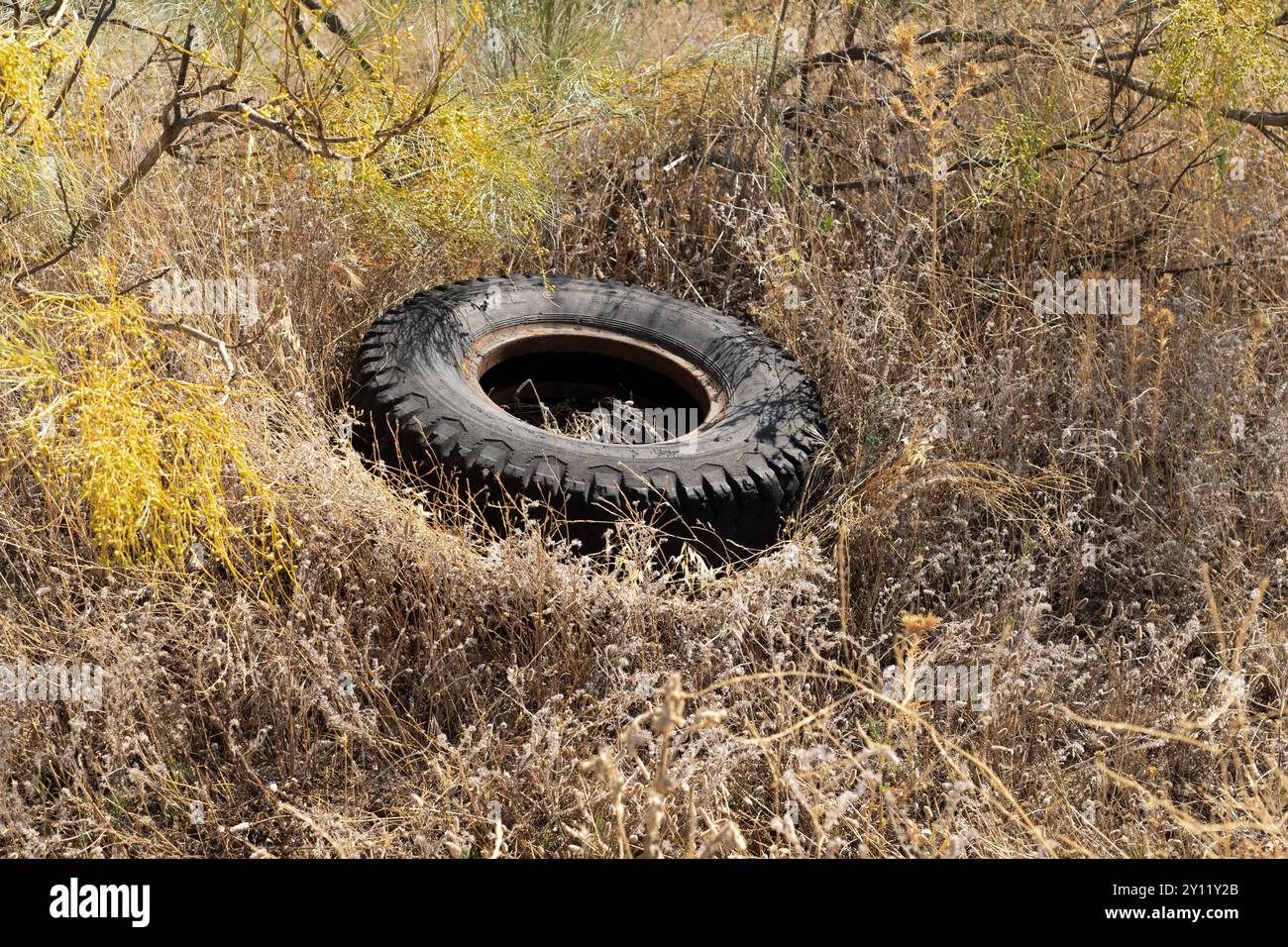 L'image montre un gros pneu, probablement d'un tracteur ou d'un véhicule lourd, abandonné au milieu d'une végétation sèche et dense. Le pneu est partiellement enterré et surrou Banque D'Images