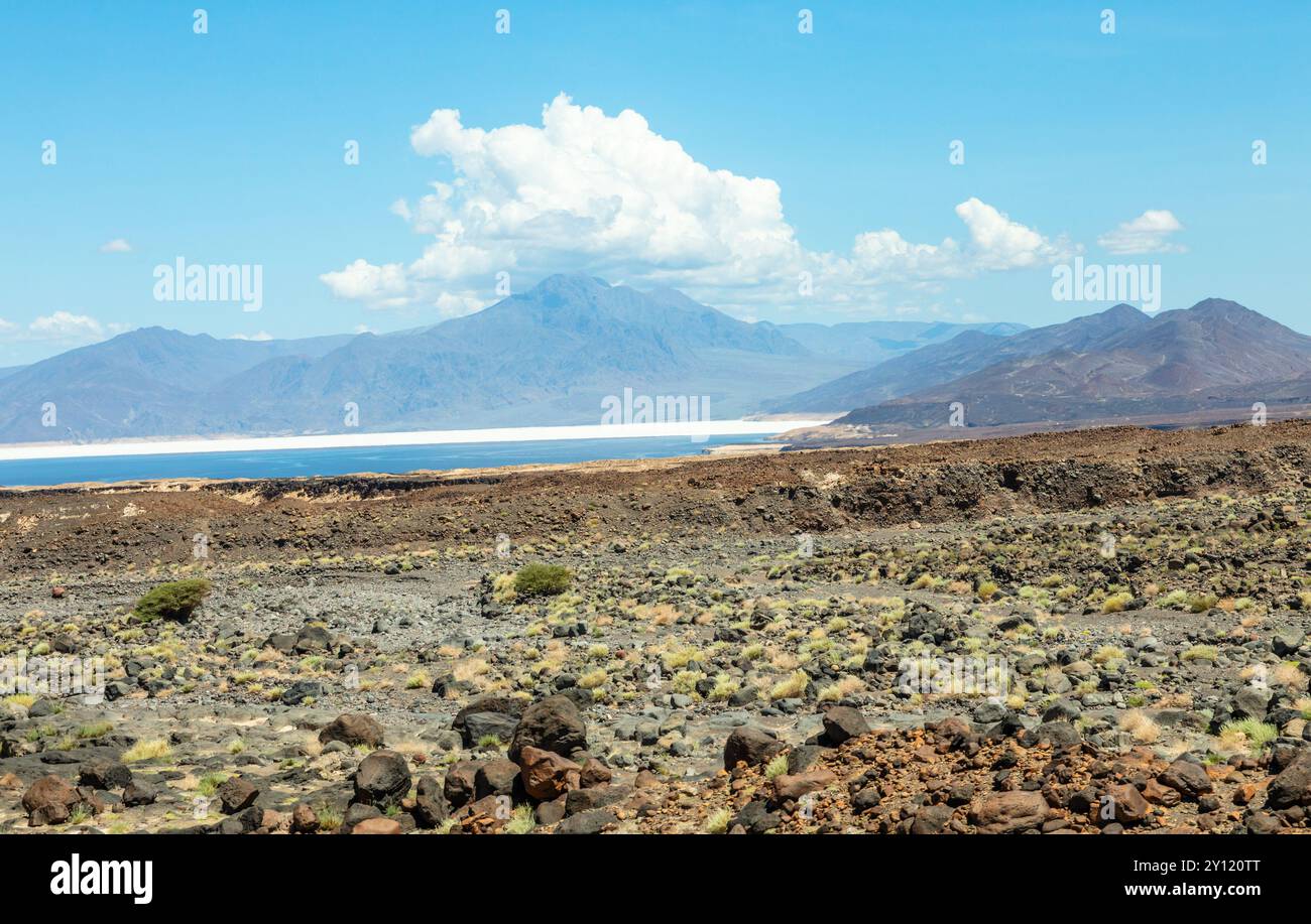 Panorama paysager de Djibouti avec lac salé du lac Assal et montagnes en arrière-plan, région de Tadjourah, Djibouti Banque D'Images