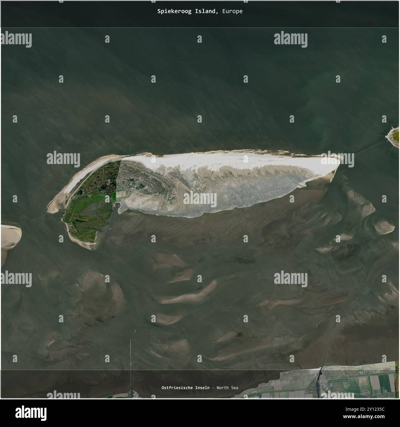 L’île Spiekeroog en mer du Nord, appartenant à l’Allemagne, a été recadrée au carré sur une image satellite prise le 26 juin 2020 Banque D'Images