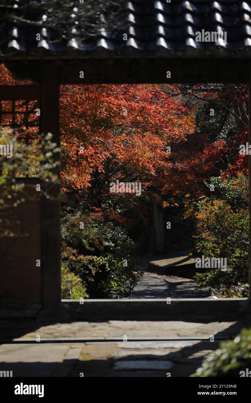 Feuilles d'automne et le paysage de la ville antique du Japon Banque D'Images