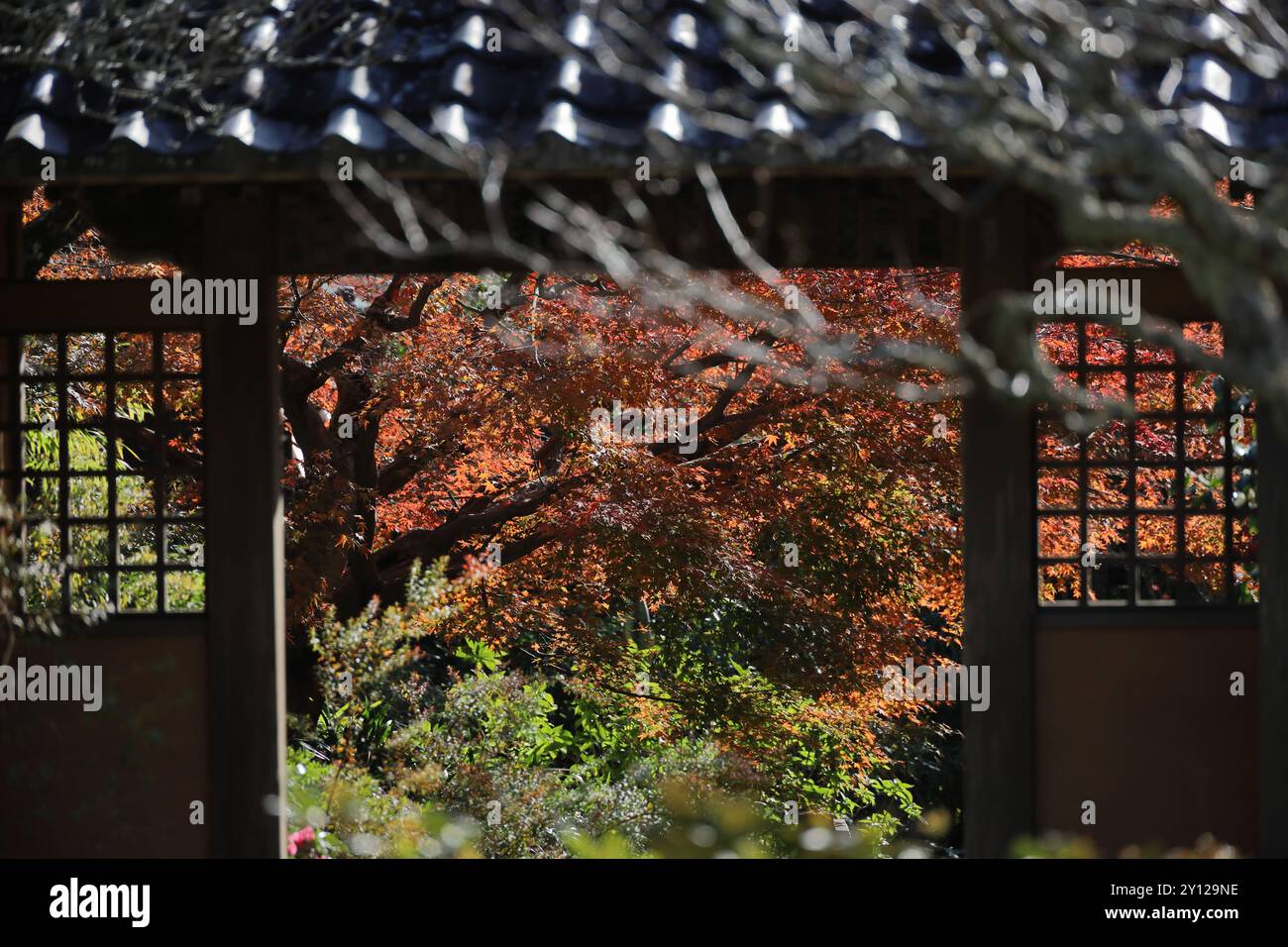 Feuilles d'automne et le paysage de la ville antique du Japon Banque D'Images