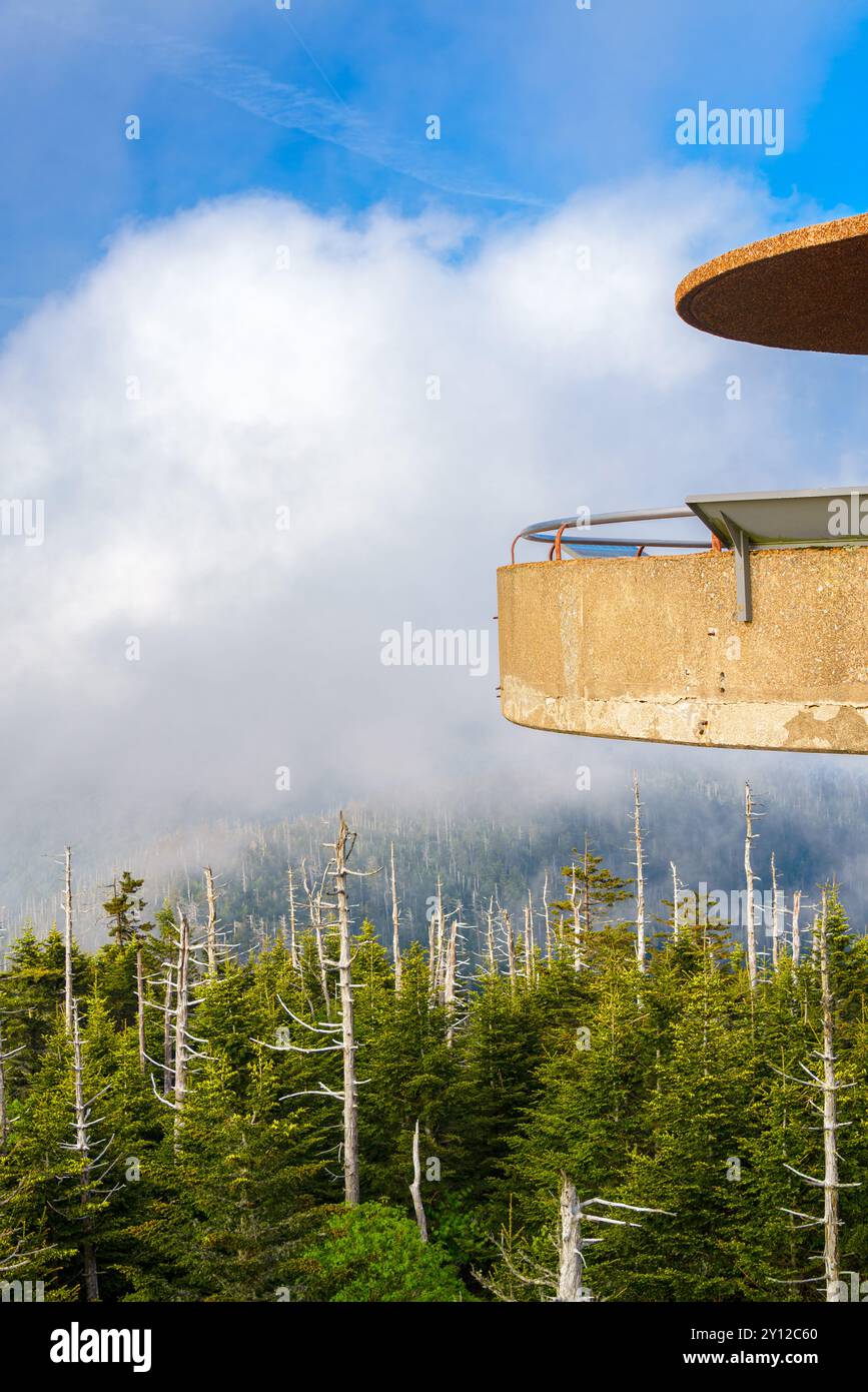 Vue depuis le pont d'observation de l'Clingman Dome dans les Great Smoky Mountains. Banque D'Images