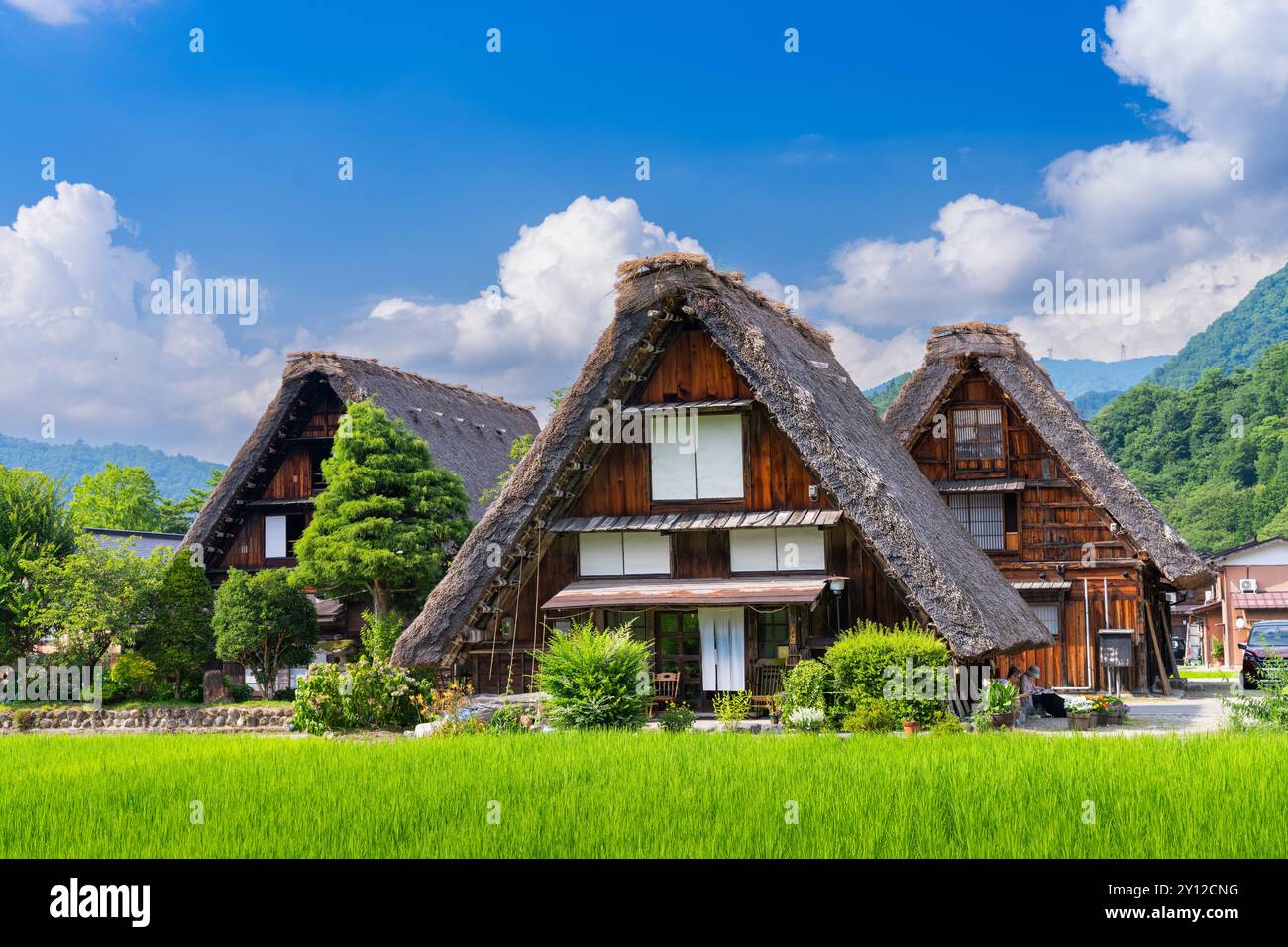 Ogimachi, Shirakawa, Japon avec les fermes au toit de chaume en été. Banque D'Images
