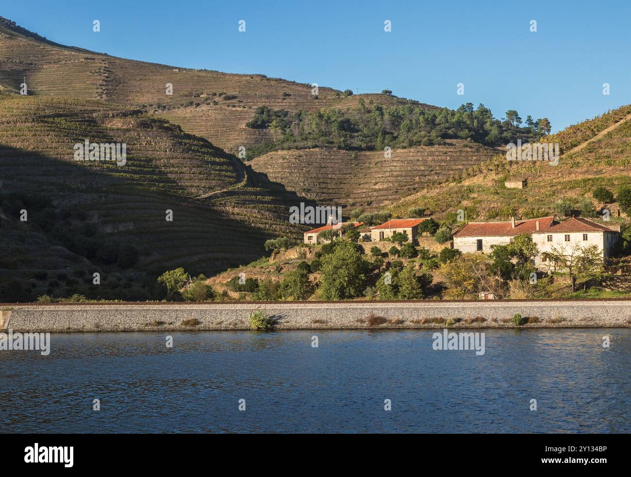 Rive du fleuve Douro entre Peso da Régua et Pinhão au Portugal avec de vieilles maisons et des pentes pleines de vignobles en terrasses par une journée ensoleillée. Banque D'Images