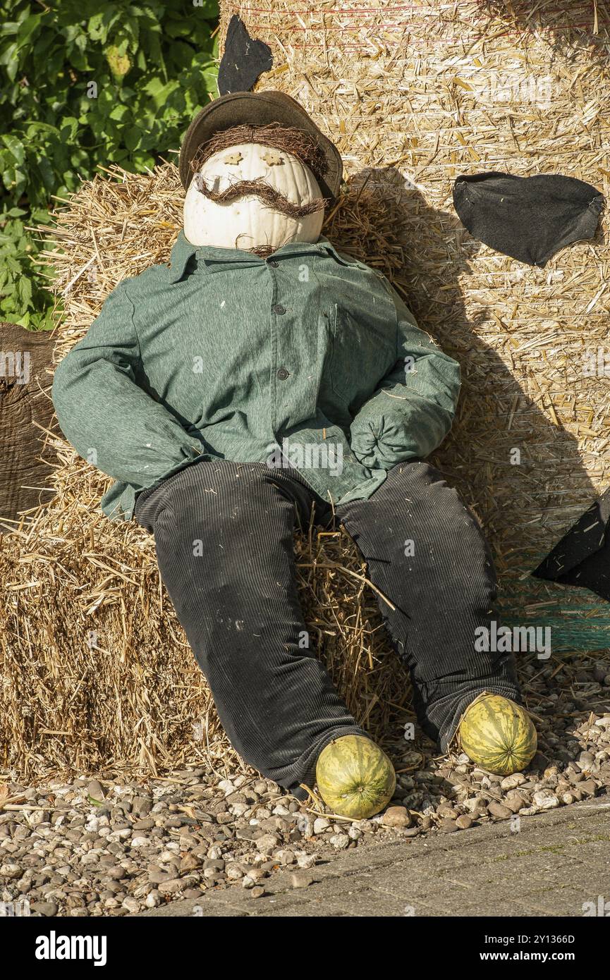 Figurine de citrouille assise dans une veste verte et un chapeau devant des balles de foin, borken, muensterland, allemagne Banque D'Images