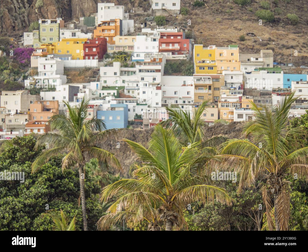 Maisons colorées à flanc de montagne entourées de palmiers et de végétation verdoyante, tenerife, îles canaries, espagne Banque D'Images