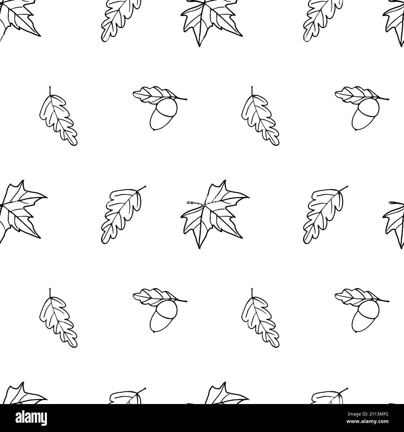 Modèle sans couture avec feuilles vectorielles et glands Banque D'Images