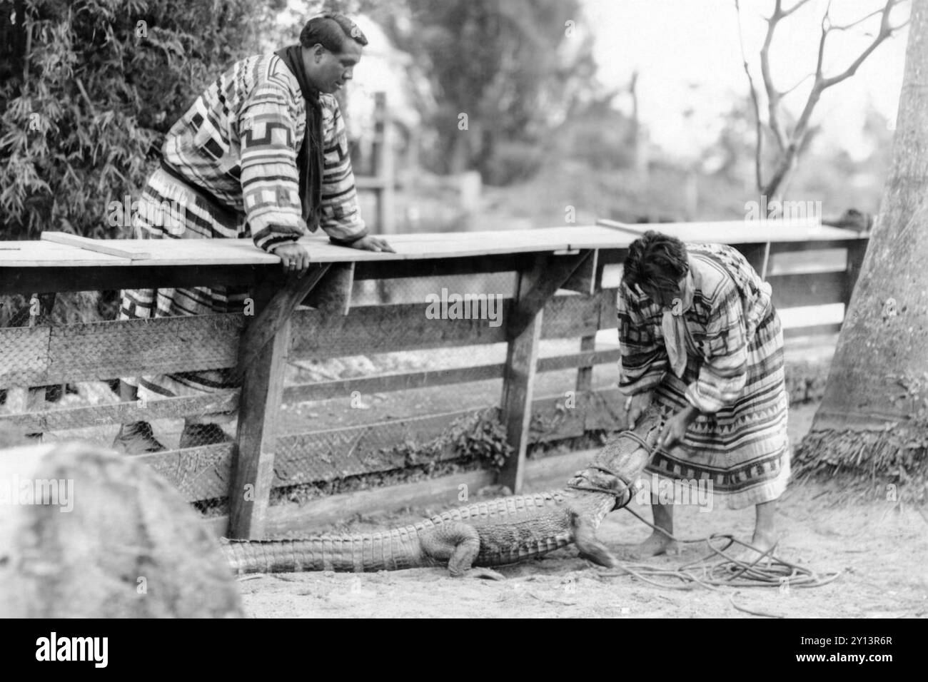 Des hommes indiens séminoles, Henry 'Cowboy' Billie (à gauche) et Tony Tommie (à droite), relâchant un alligator capturé dans un enclos au village indien Seminole de Musa Isle à Miami, Floride, le 15 février 1927. (ÉTATS-UNIS) Banque D'Images Des hommes indiens séminoles, Henry 'Cowboy' Billie (à gauche) et Tony Tommie (à droite), relâchant un alligator capturé dans un enclos au village indien Seminole de Musa Isle à Miami, Floride, le 15 février 1927. (ÉTATS-UNIS) Banque D'Images